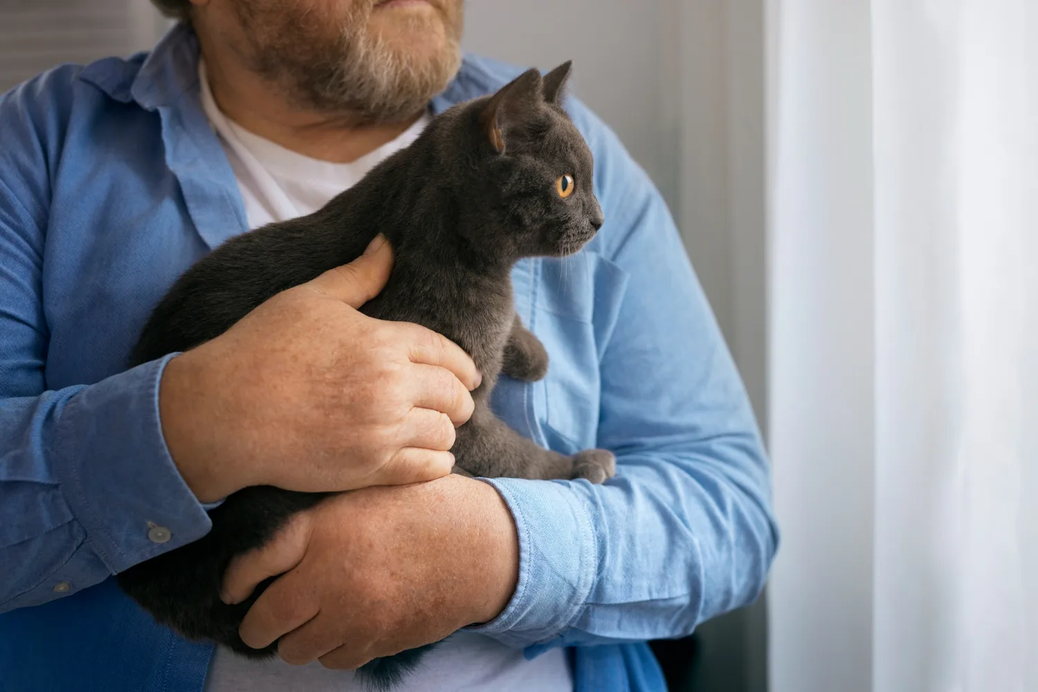 A man holding a gray cat near a window
