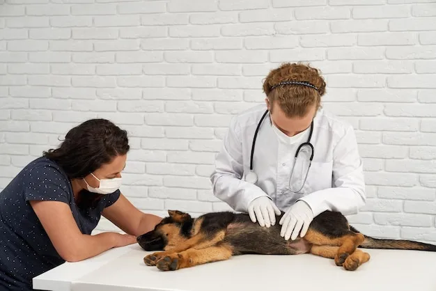 Friendly veterinarian performing a heartworm test on a dog in a comfortable exam room