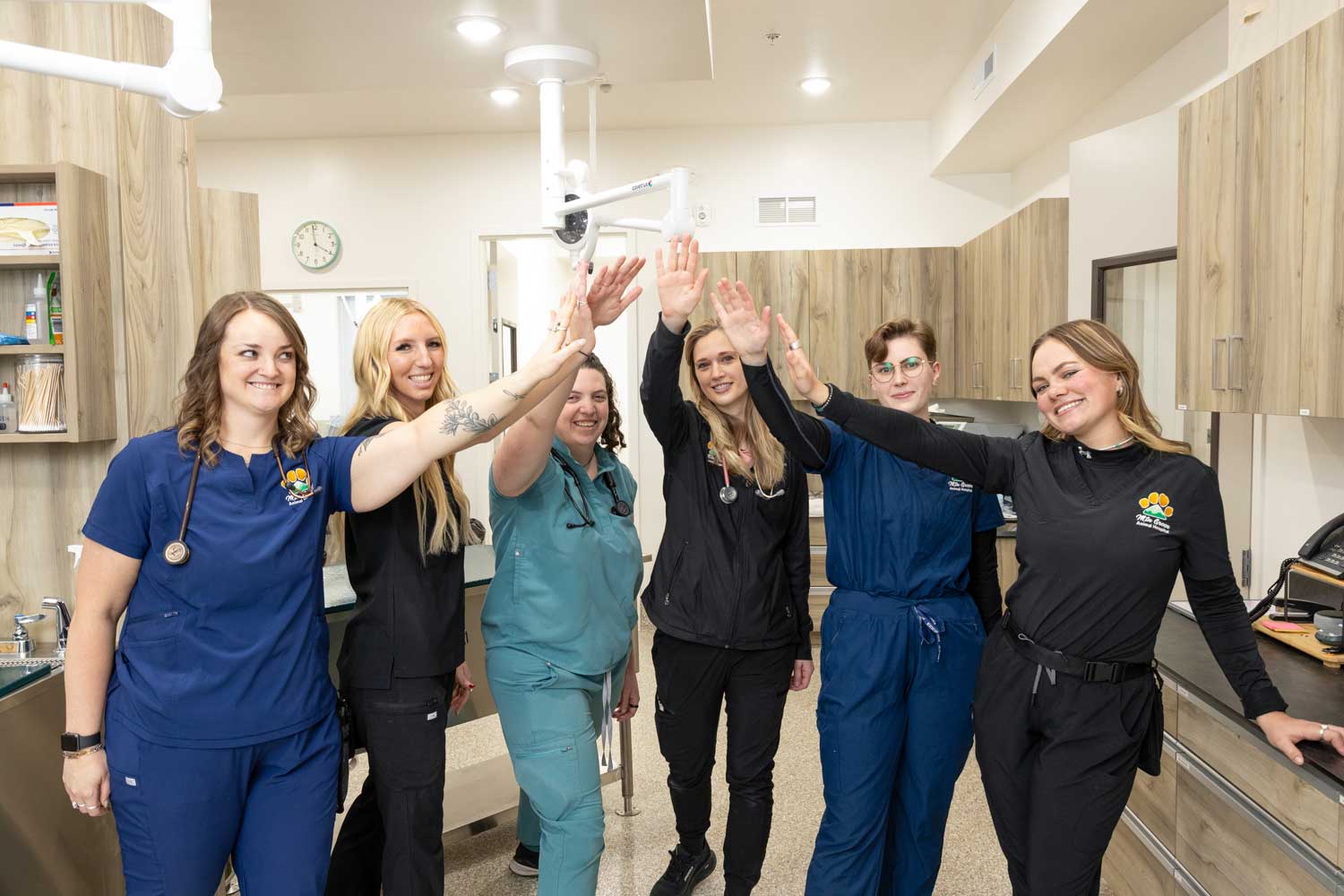 Veterinary team standing together inside Mtn. Green Animal Hospital