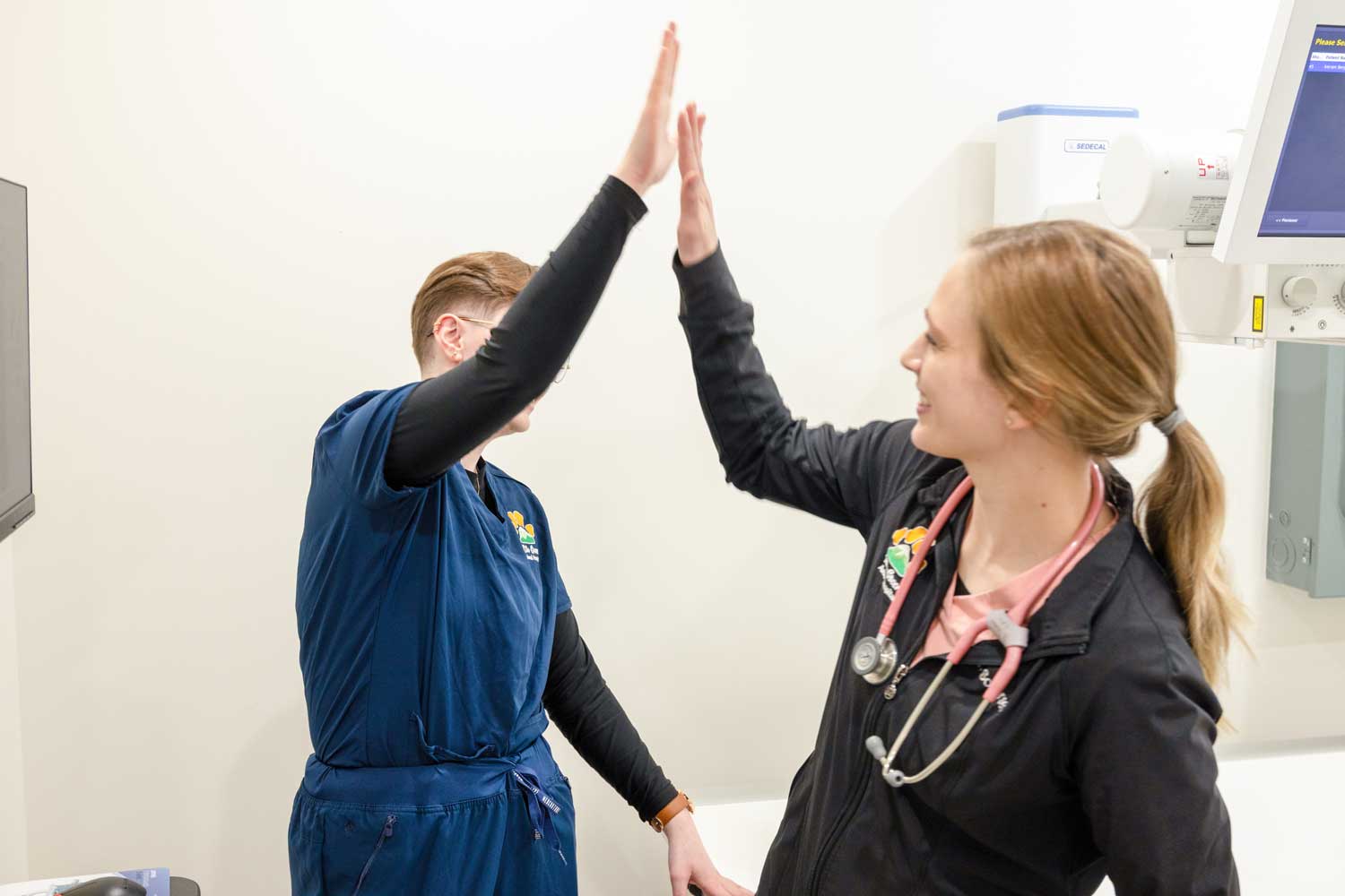 Veterinary staff celebrating with a high five at Mtn. Green Animal Hospital
