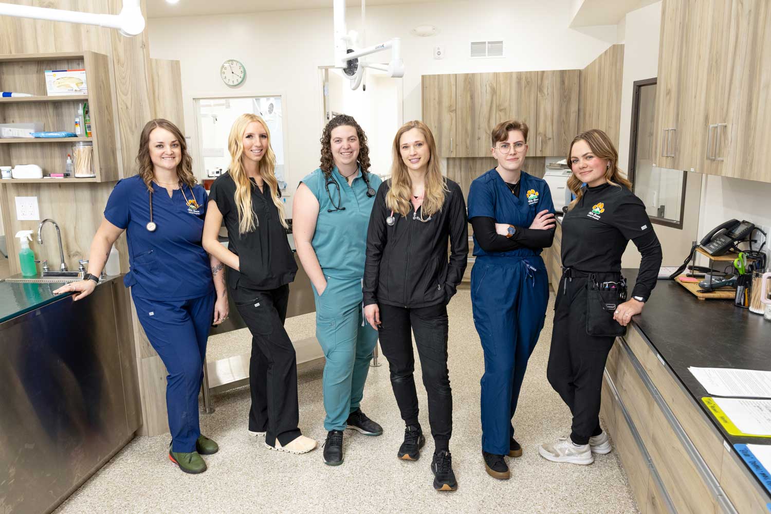 Mtn Green Animal Hospital veterinary team in Mountain Green, UT