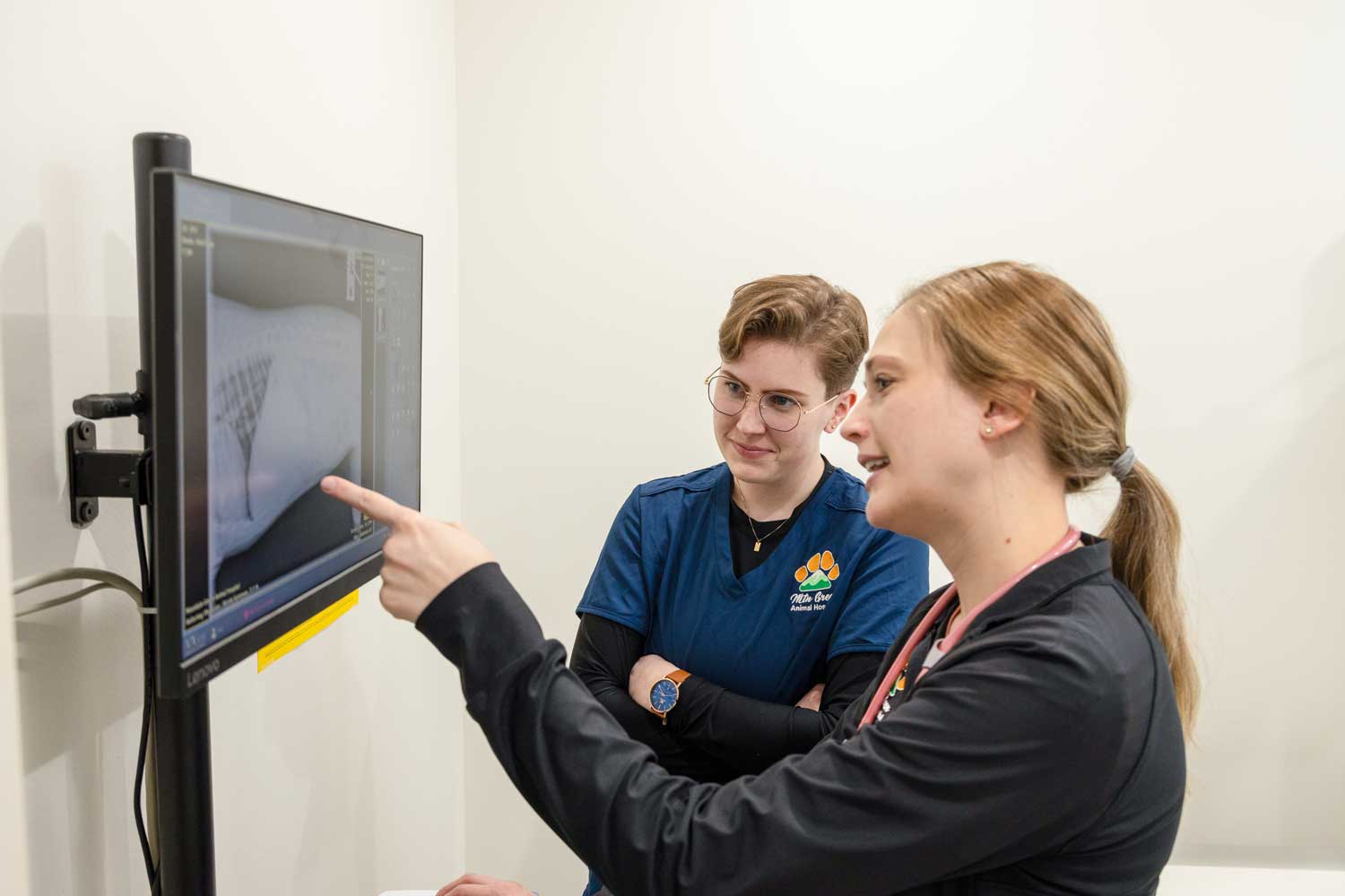A friendly veterinarian reviewing a digital X-ray of a dog or cat in a clean, modern exam room