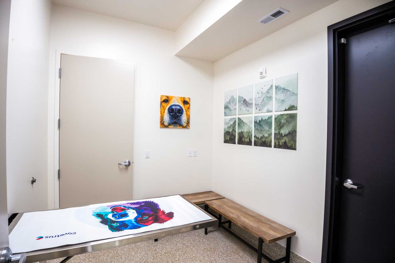 Veterinary exam room at Mtn. Green Animal Hospital