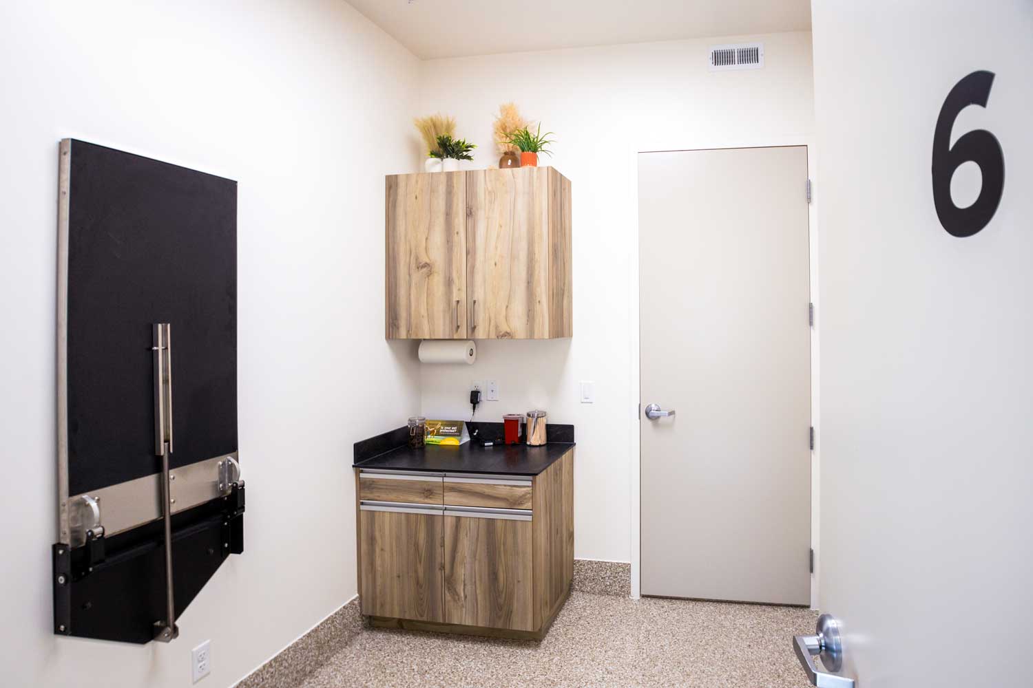 Pet treatment room inside Mtn. Green Animal Hospital