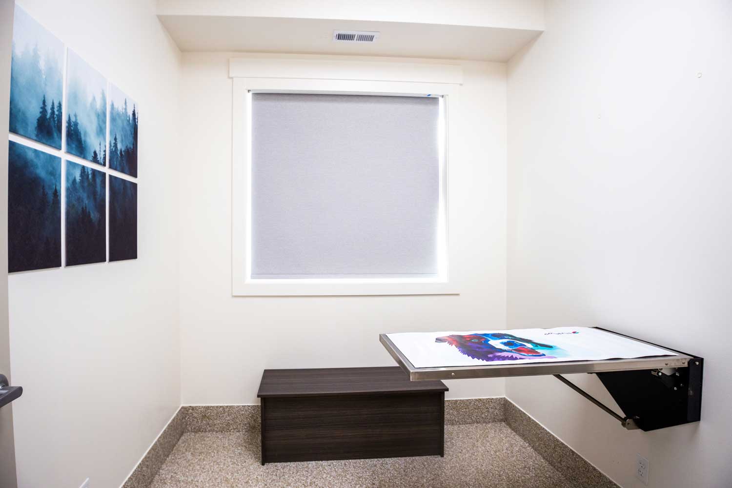 Clean and modern veterinary exam room at Mtn. Green Animal Hospital