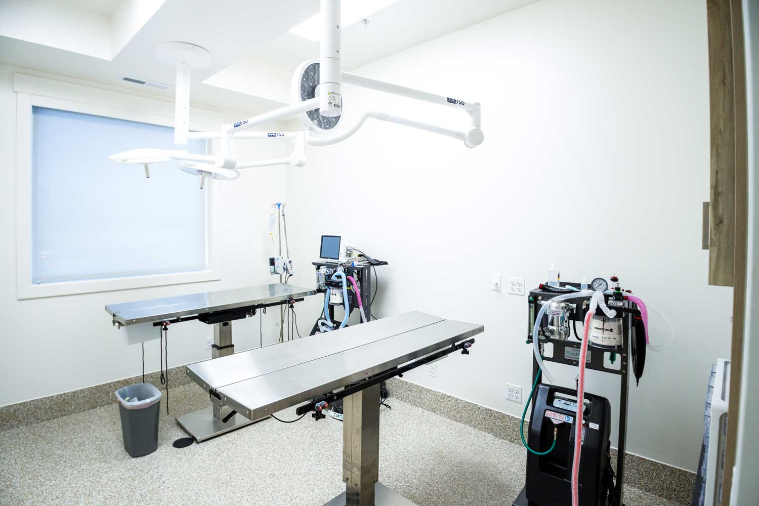 Veterinary surgery suite at Mtn. Green Animal Hospital