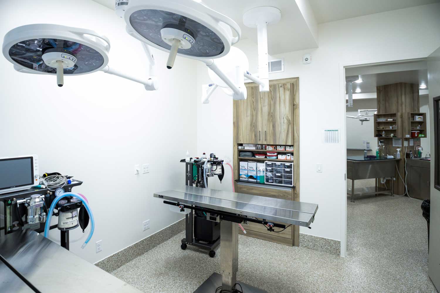 Veterinary surgical suite at Mtn. Green Animal Hospital