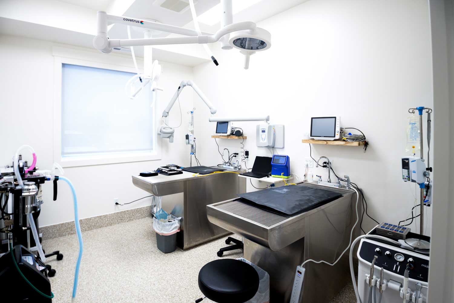 Pet surgery preparation area with medical equipment