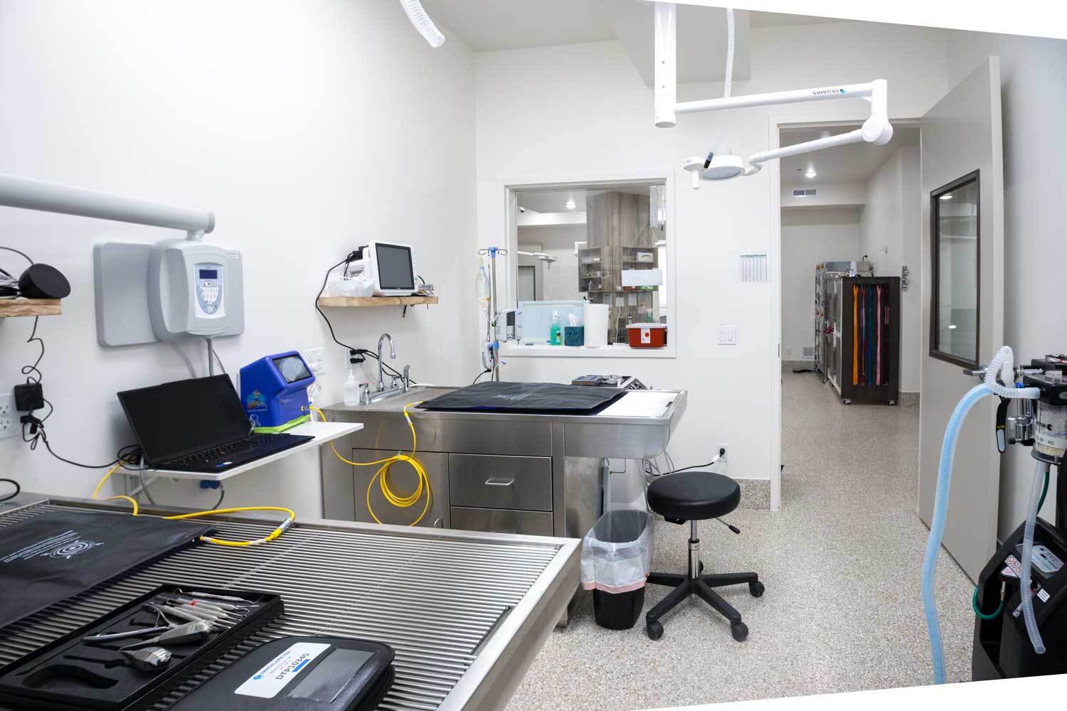 Veterinary treatment room inside Mtn. Green Animal Hospital