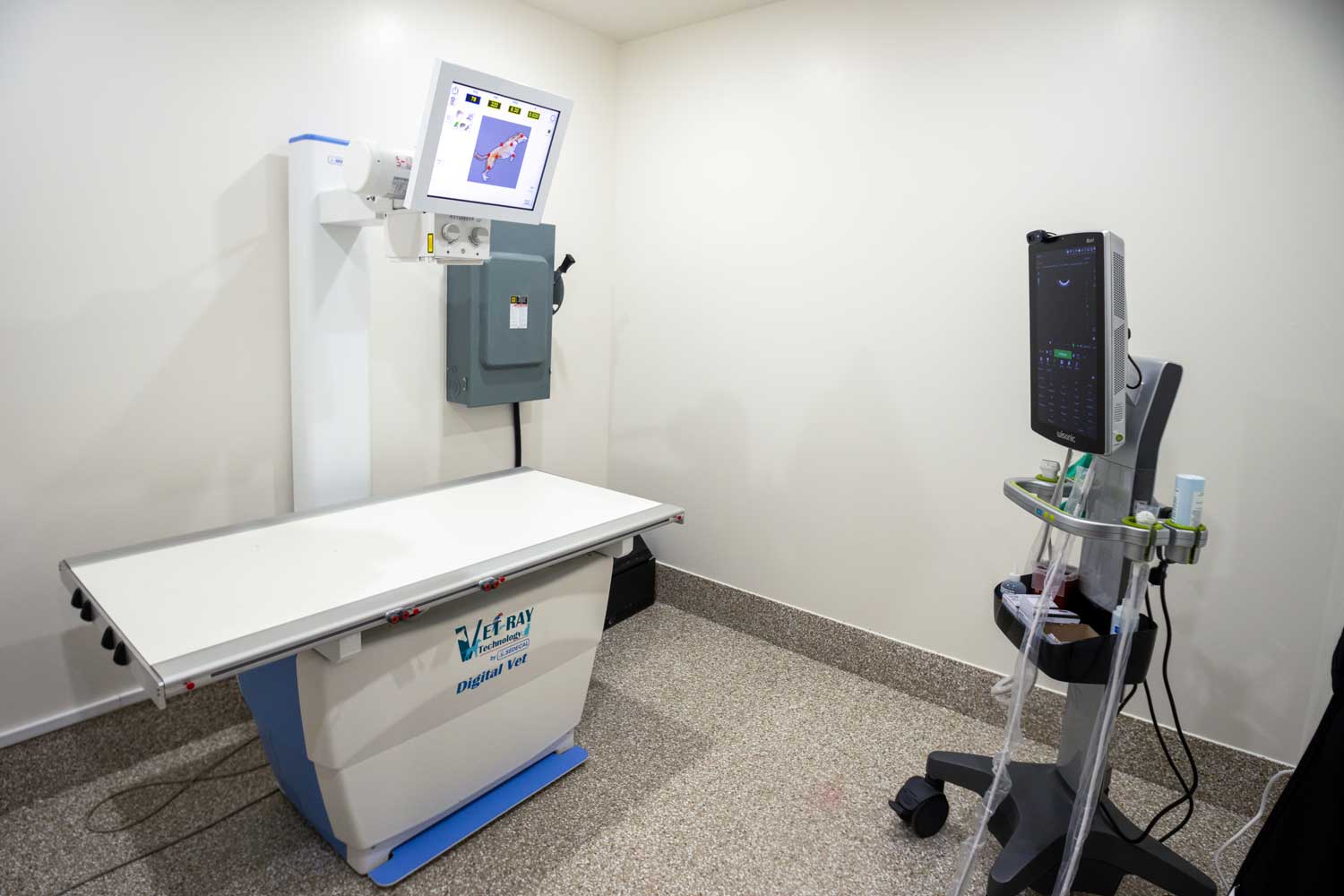 Digital X-ray room at Mtn. Green Animal Hospital