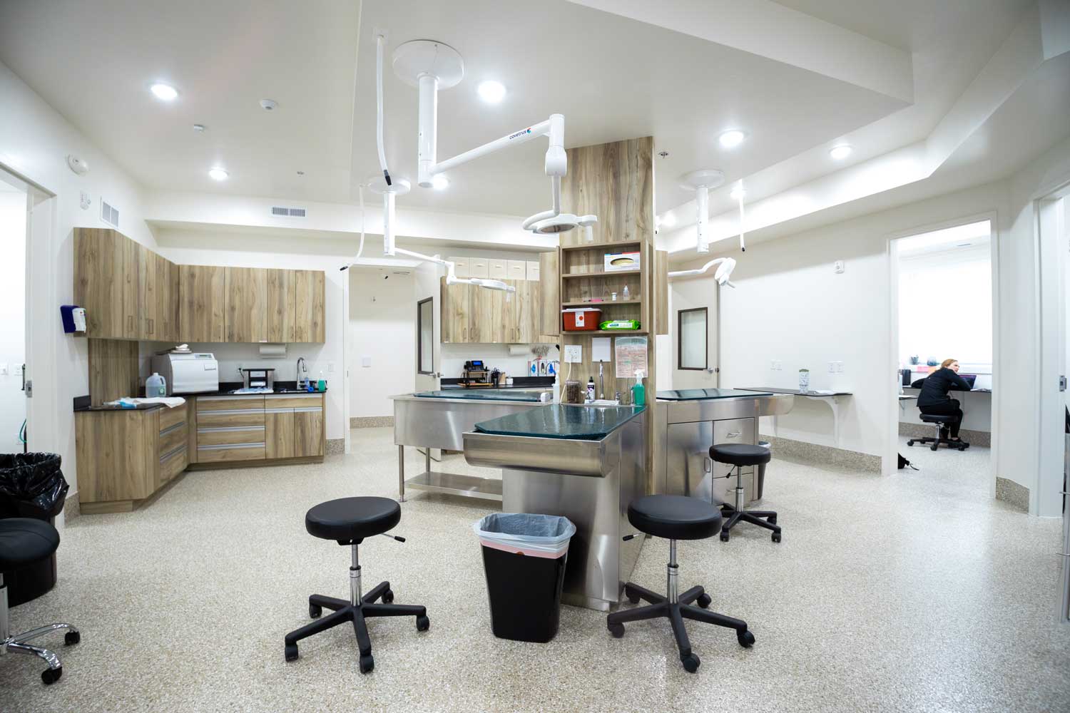 Open veterinary treatment area with modern equipment