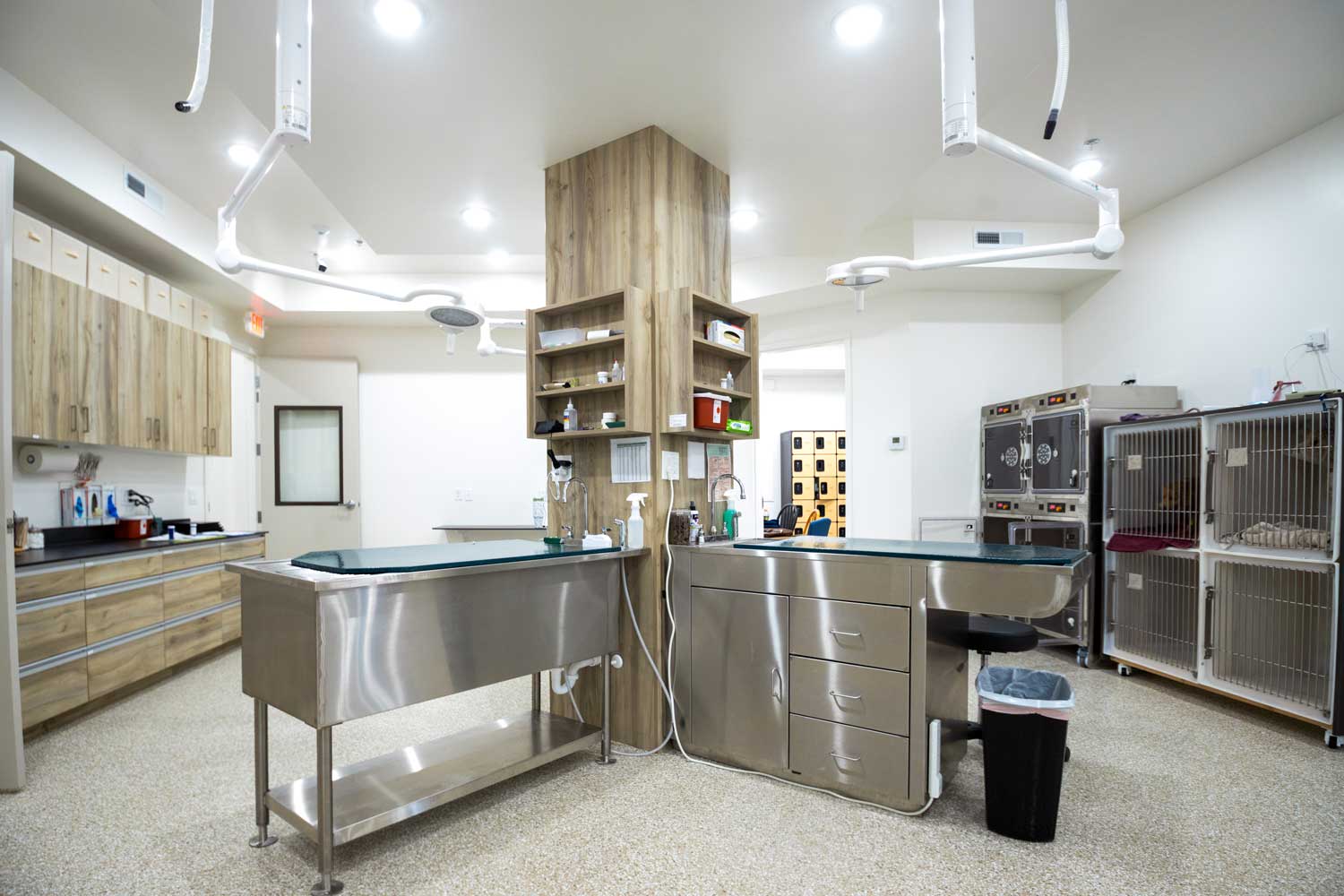 Advanced veterinary surgical and treatment suite
