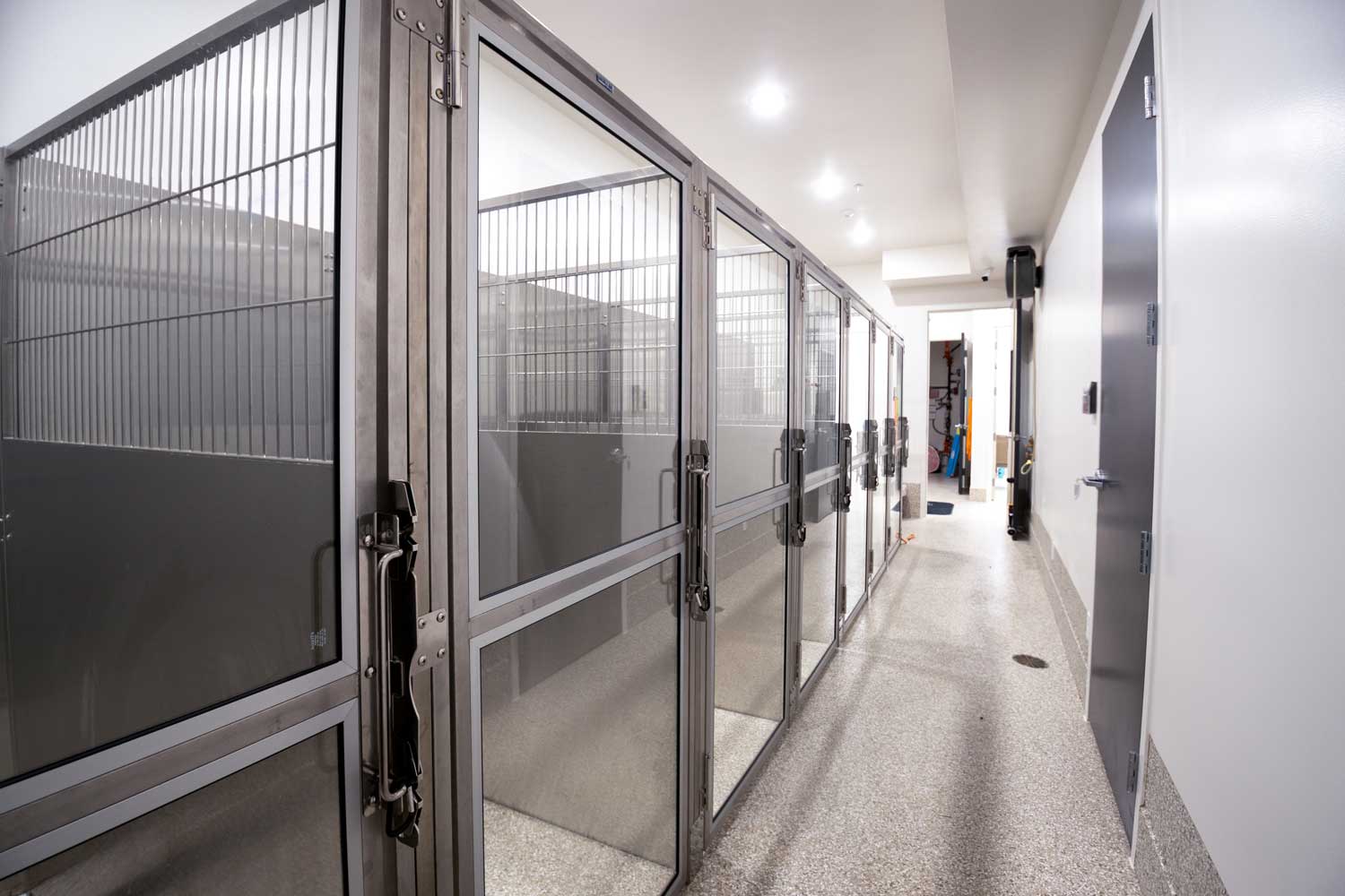 Pet recovery and kennel area at Mtn. Green Animal Hospital