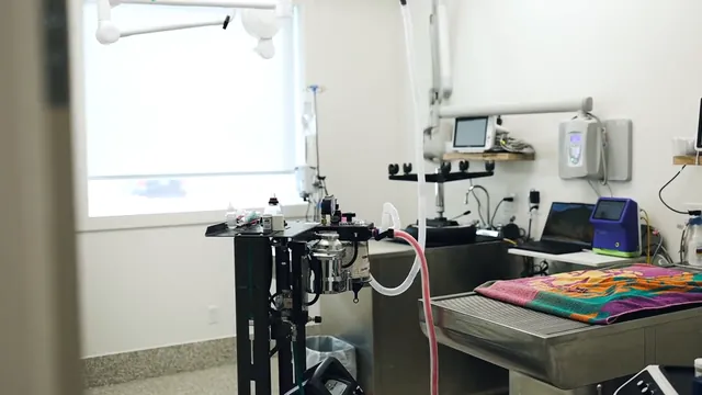 Our surgical suite, with the anesthesia machine, patient monitors and the surgical table